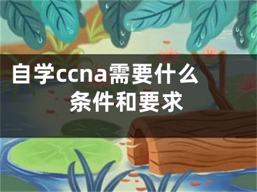 自学ccna需要什么条件和要求