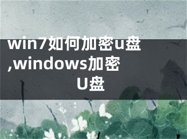 win7如何加密u盘,windows加密U盘