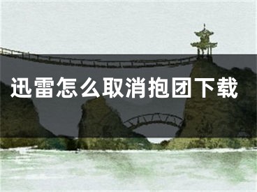 迅雷怎么取消抱团下载