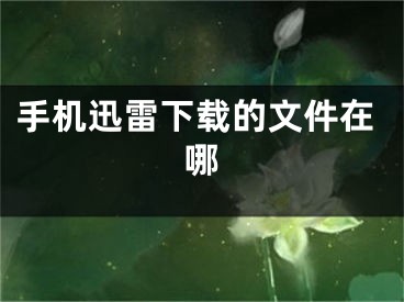 手机迅雷下载的文件在哪