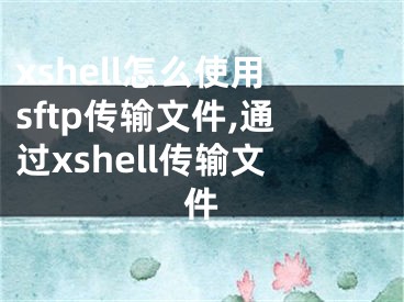 xshell怎么使用sftp传输文件,通过xshell传输文件