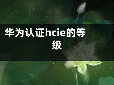 华为认证hcie的等级