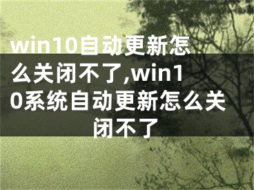 win10自动更新怎么关闭不了,win10系统自动更新怎么关闭不了