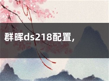 群晖ds218配置,