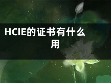 HCIE的证书有什么用