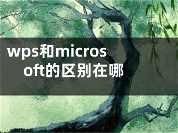 wps和microsoft的区别在哪