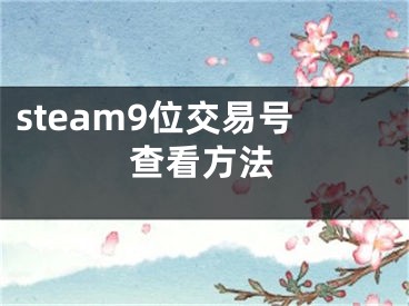steam9位交易号查看方法