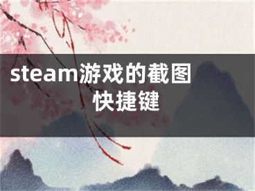 steam游戏的截图快捷键