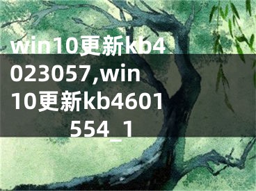 win10更新kb4023057,win10更新kb4601554_1