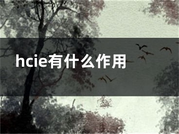 hcie有什么作用