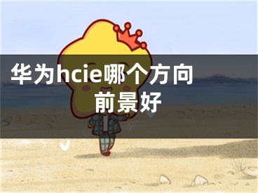 华为hcie哪个方向前景好