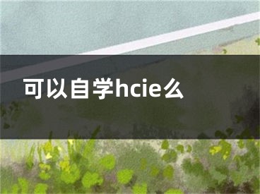 可以自学hcie么