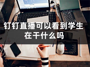 钉钉直播可以看到学生在干什么吗