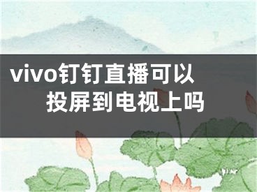 vivo钉钉直播可以投屏到电视上吗