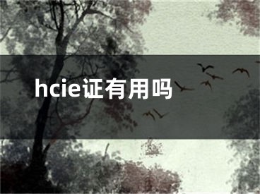 hcie证有用吗