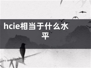 hcie相当于什么水平