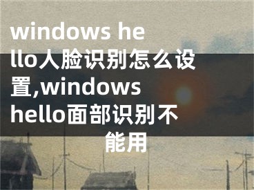 windows hello人脸识别怎么设置,windows hello面部识别不能用