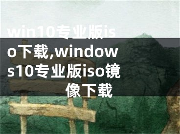 win10专业版iso下载,windows10专业版iso镜像下载