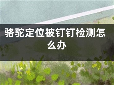 骆驼定位被钉钉检测怎么办