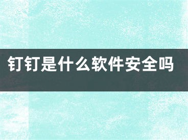 钉钉是什么软件安全吗