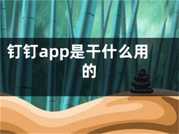 钉钉app是干什么用的