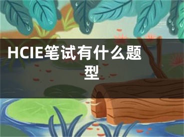 HCIE笔试有什么题型