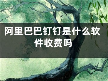 阿里巴巴钉钉是什么软件收费吗