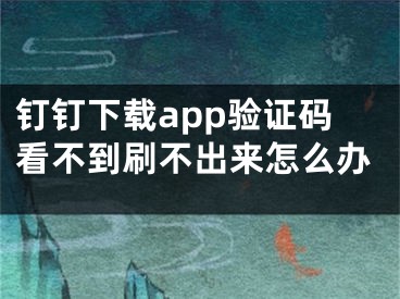 钉钉下载app验证码看不到刷不出来怎么办