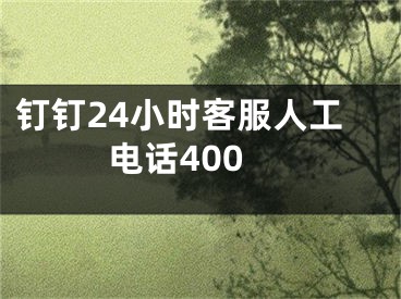 钉钉24小时客服人工电话400