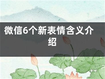 微信6个新表情含义介绍