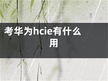 考华为hcie有什么用