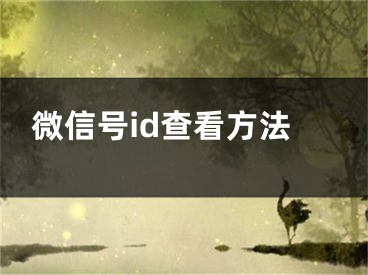 微信号id查看方法