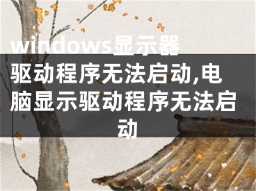 windows显示器驱动程序无法启动,电脑显示驱动程序无法启动