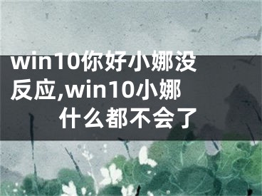 win10你好小娜没反应,win10小娜什么都不会了