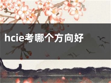 hcie考哪个方向好