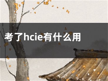 考了hcie有什么用