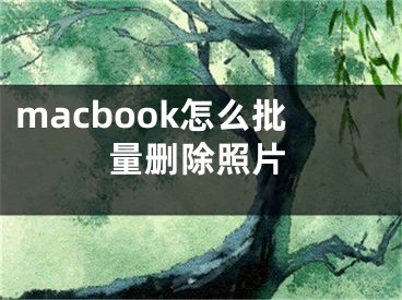 macbook怎么批量删除照片