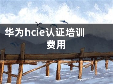 华为hcie认证培训费用