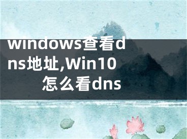 windows查看dns地址,Win10怎么看dns