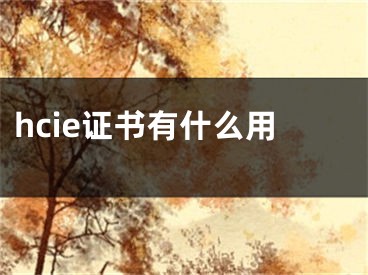 hcie证书有什么用