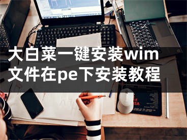 大白菜一键安装wim文件在pe下安装教程