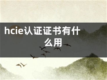 hcie认证证书有什么用