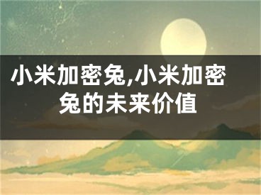 小米加密兔,小米加密兔的未来价值