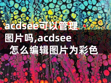 acdsee可以管理图片吗,acdsee怎么编辑图片为彩色