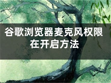 谷歌浏览器麦克风权限在开启方法