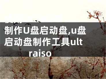 使用UltraISO制作U盘启动盘,u盘启动盘制作工具ultraiso