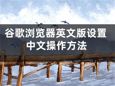 谷歌浏览器英文版设置中文操作方法