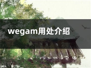 wegam用处介绍