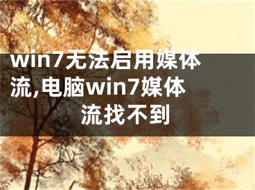 win7无法启用媒体流,电脑win7媒体流找不到