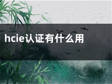 hcie认证有什么用